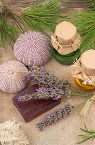 圣诞快乐新香薰 佳节香气，点亮温馨时光